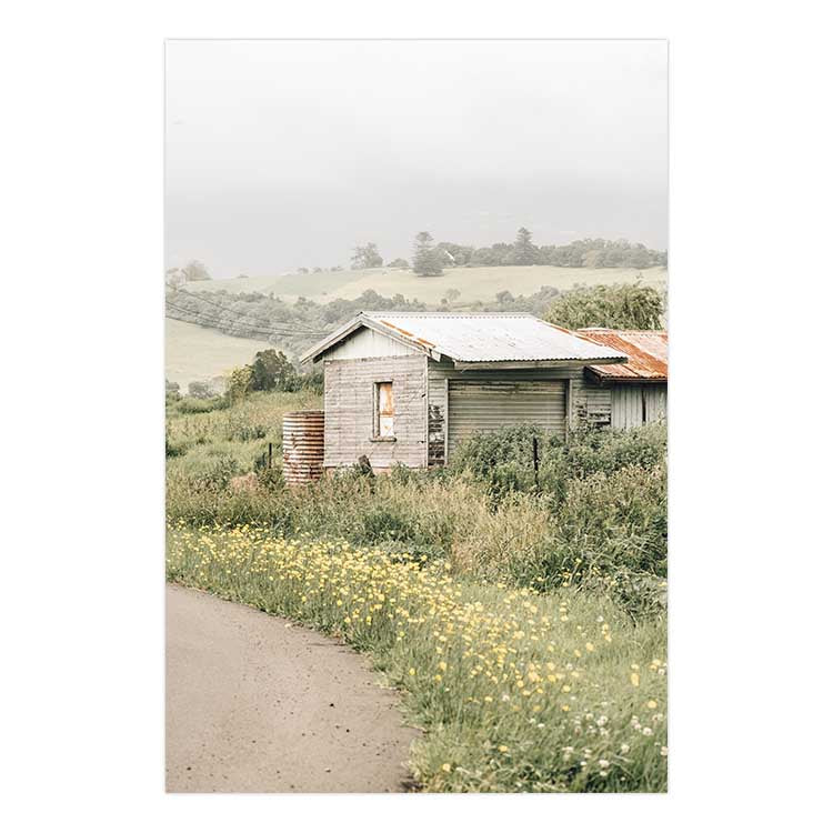Country Side - Jamberoo