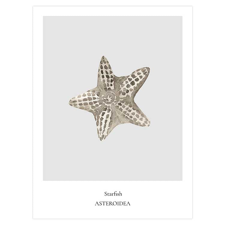 Starfish