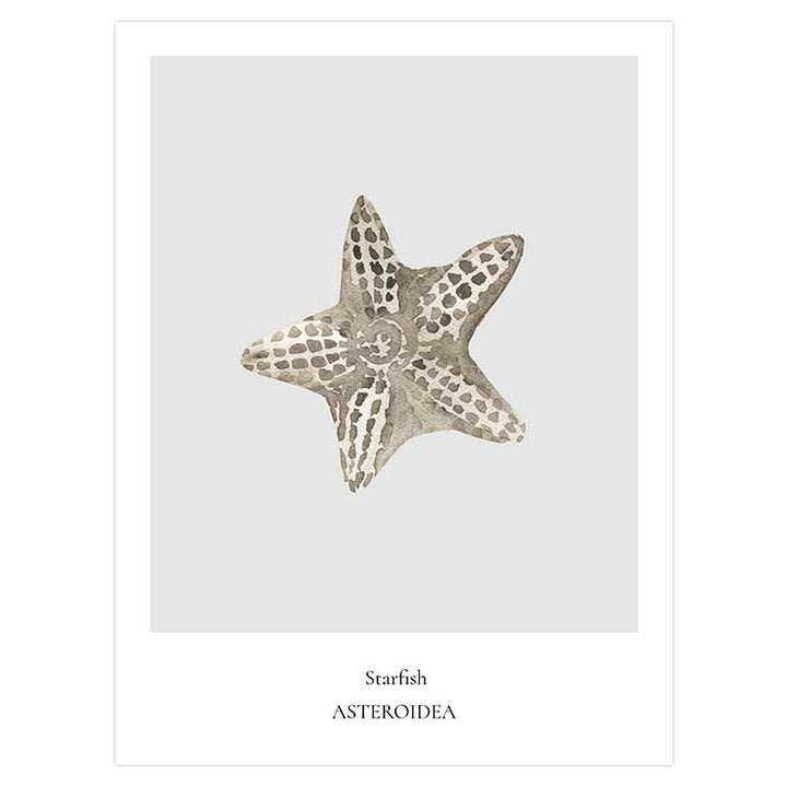 Starfish