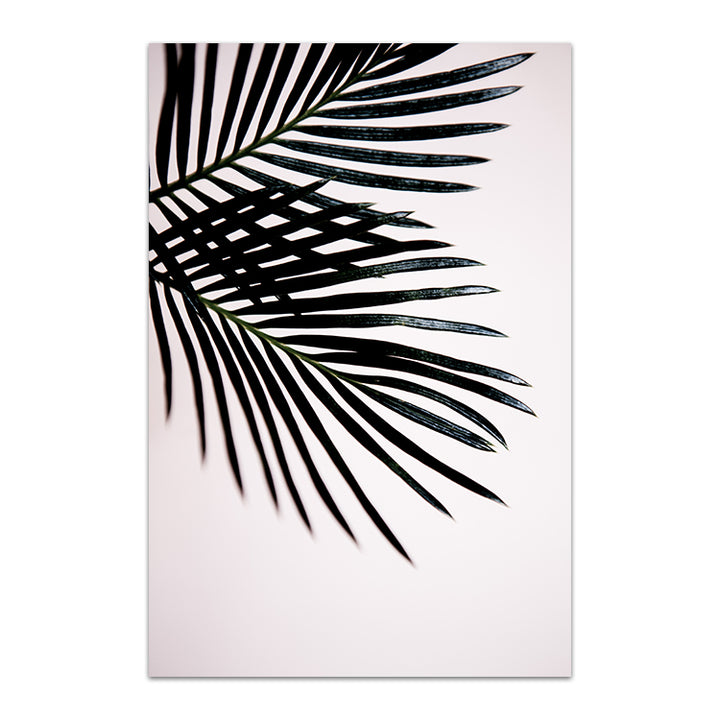 Sago Palm I