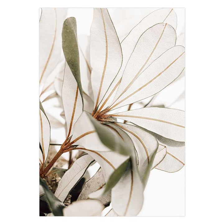 Set of 2 - Fallen Foliage no.1 & no.2