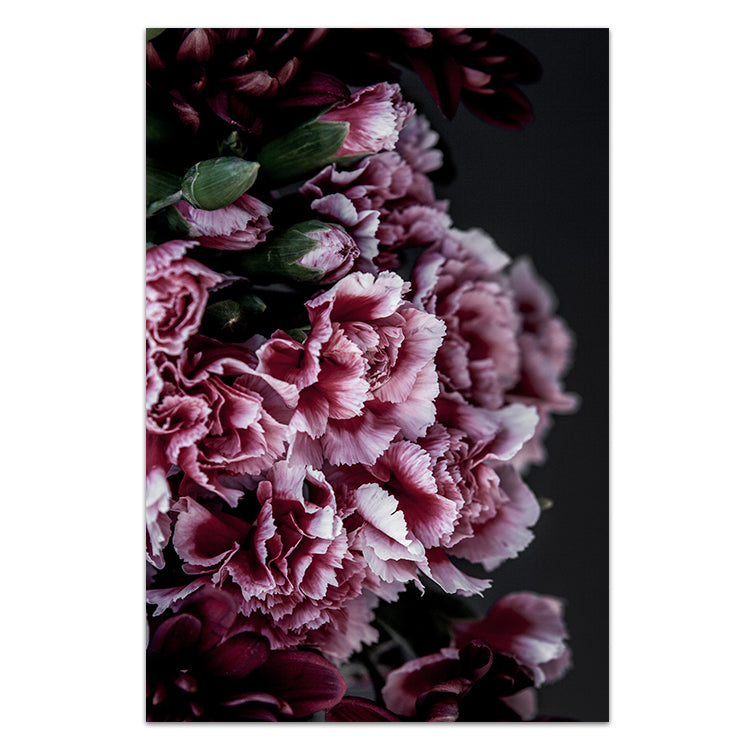 Carnations I