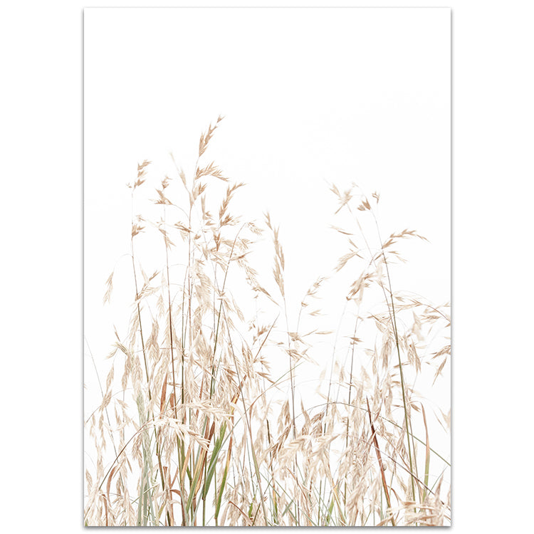 Set of 2 - Aged King I + Country Grass