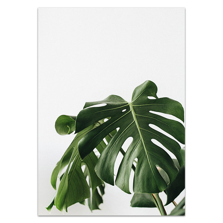 Monstera Leaf