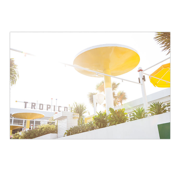 Tropicola no.1