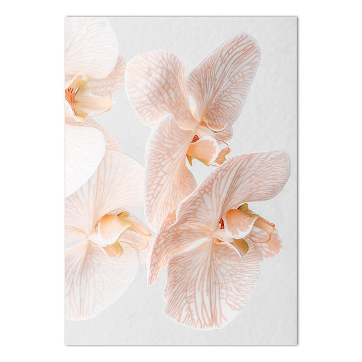 Set of 2 - Orchids III & Orchids IV