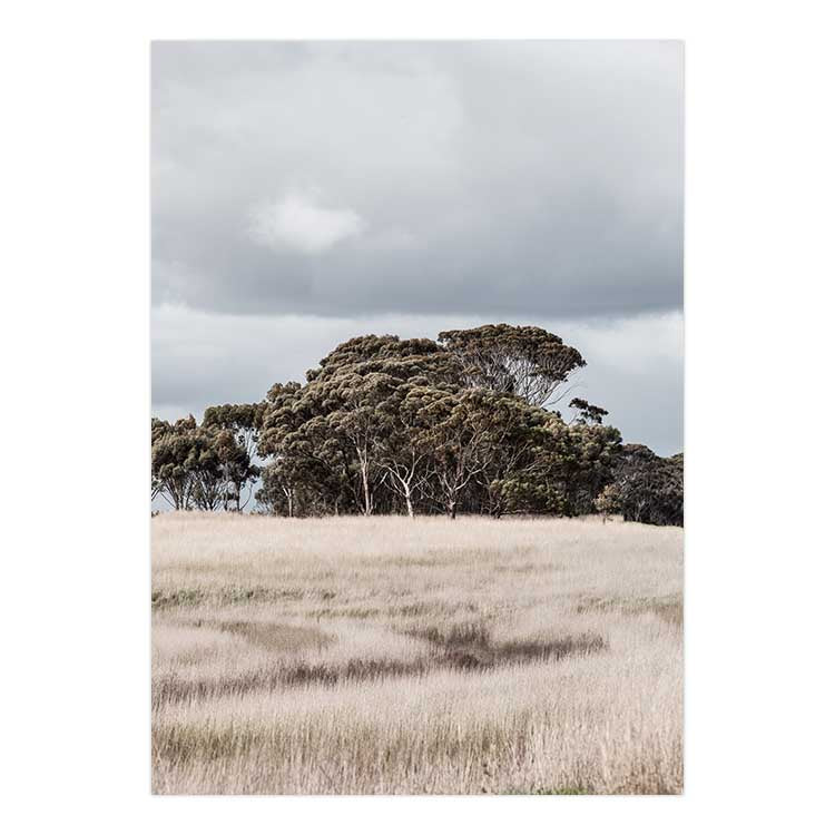 Set of 2 - Country Life - Victoria & Outback Alpaca