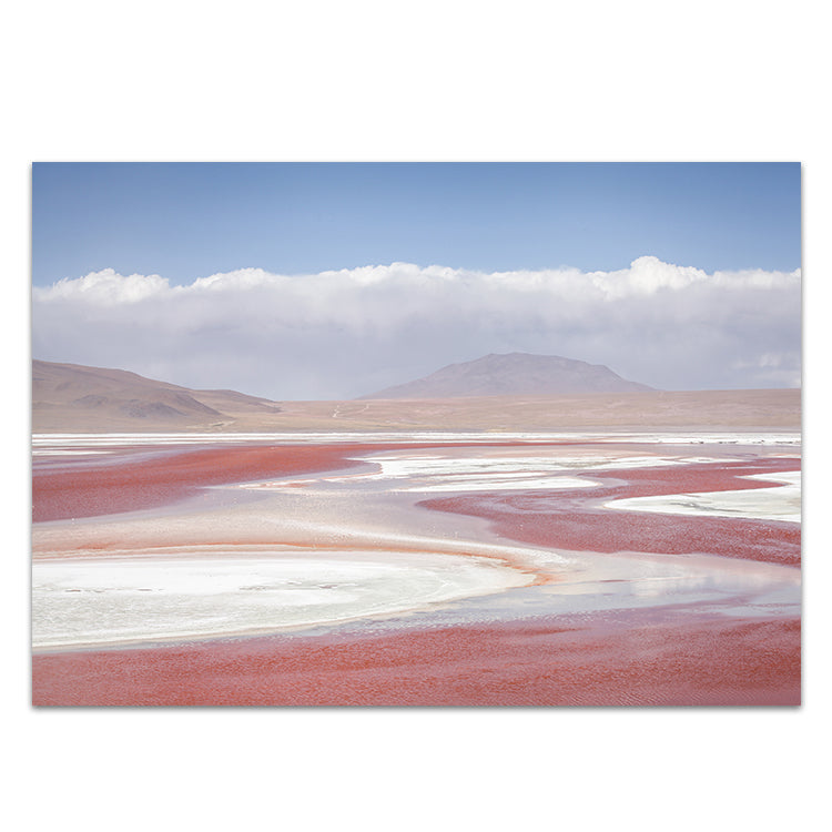Pink Salt - Bolivia