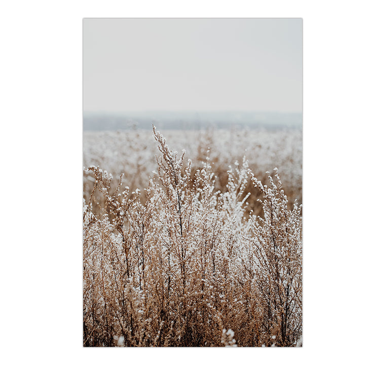 Country Grass no.2