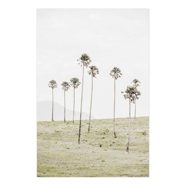 Jamberoo Palms no.2
