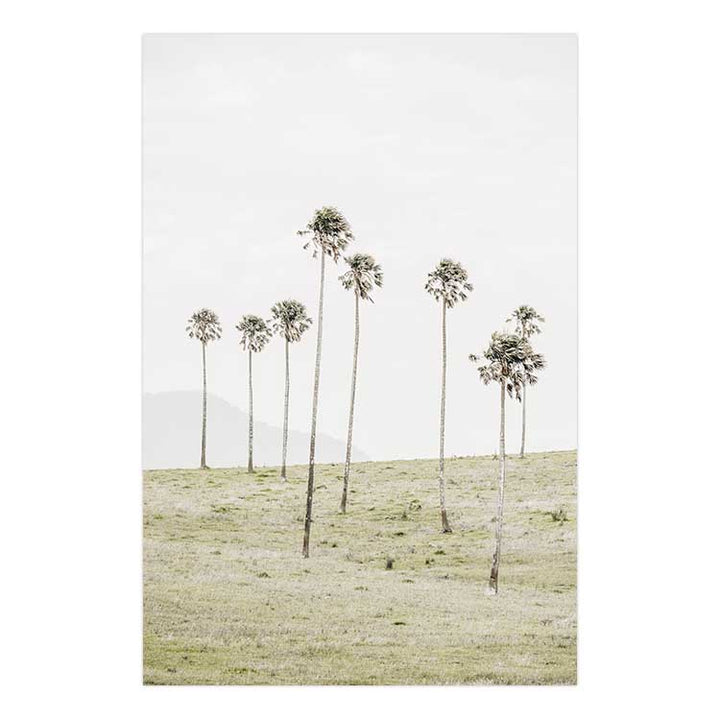 Jamberoo Palms no.2
