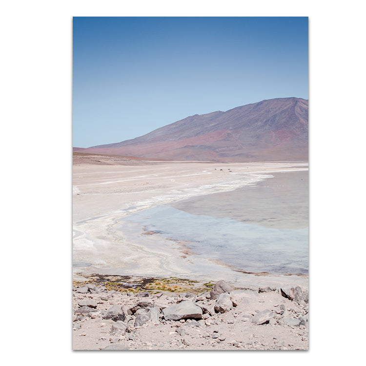 Set of 2 - Flamingos & Laguna