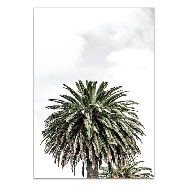 Palm III