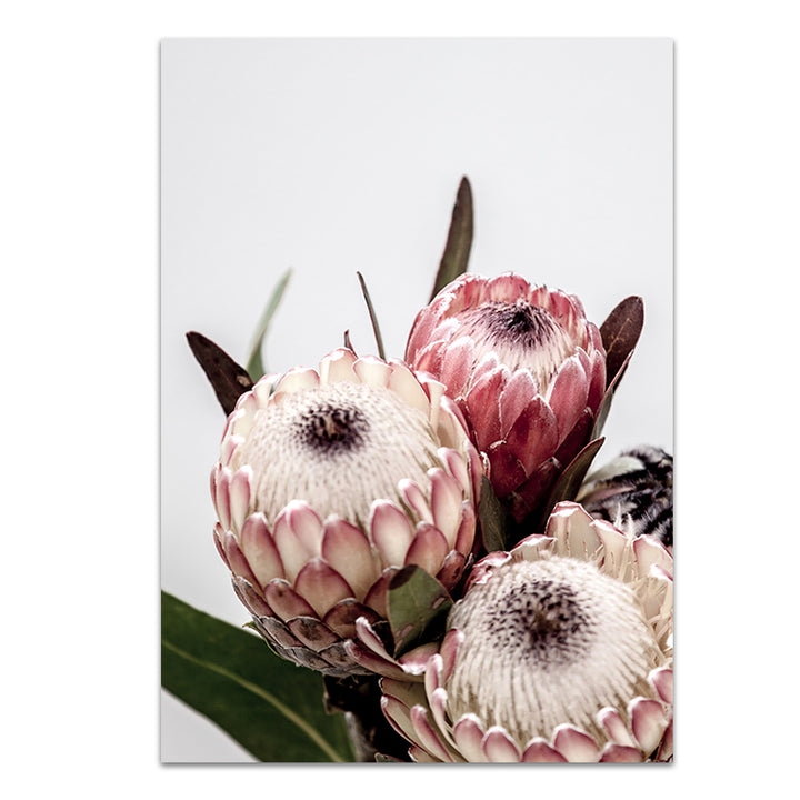 Set of 2 - Protea I + Protea II