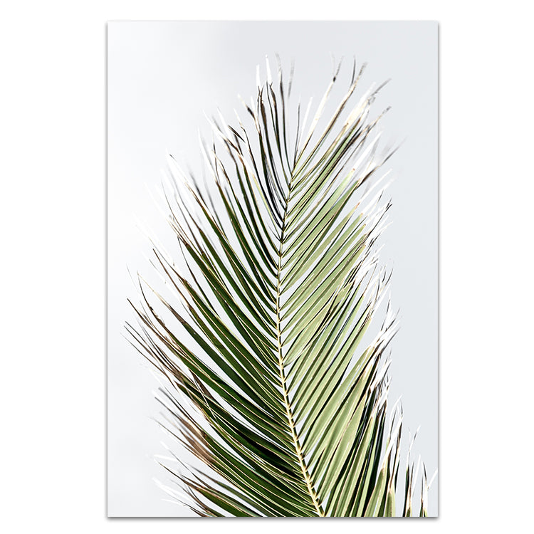 Palm II
