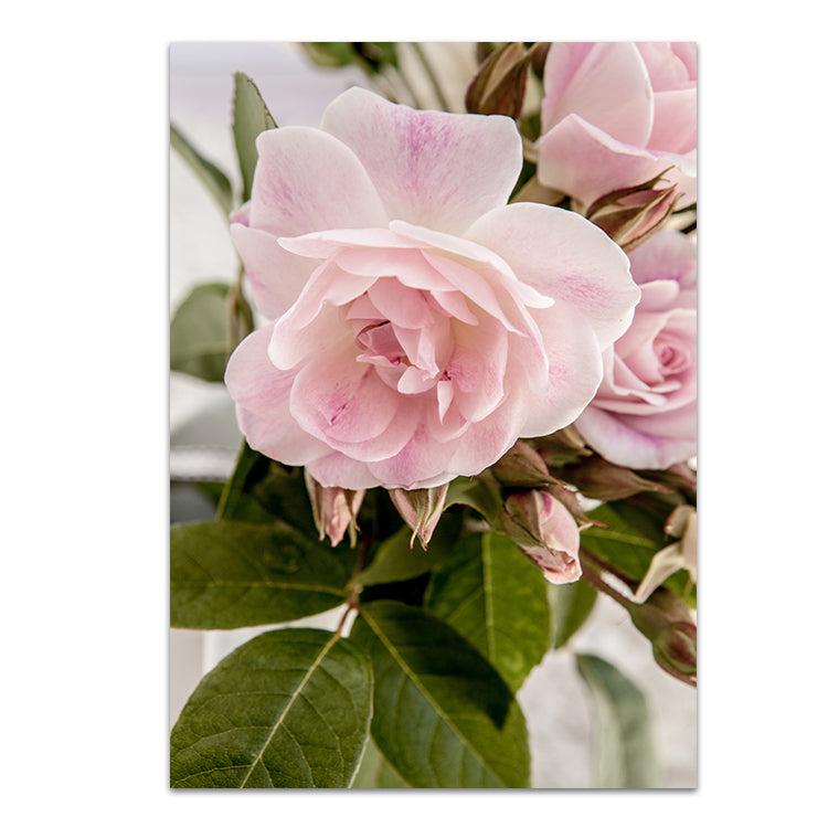 Set of 2 - Rose Garden I + Rose Garden II