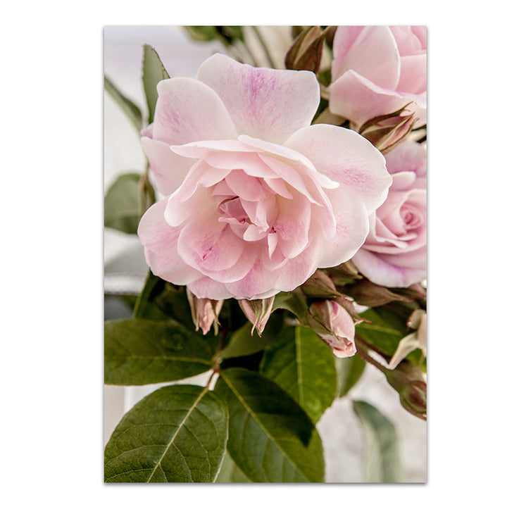Set of 2 - Rose Garden I + Rose Garden II