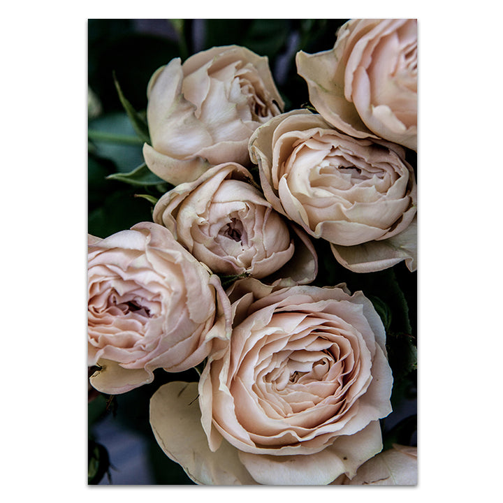 Set of 2 - Vintage Rose I + Vintage Rose II