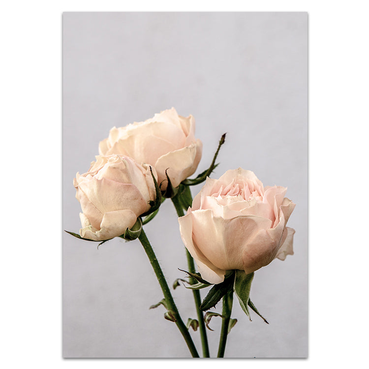 Vintage Rose II