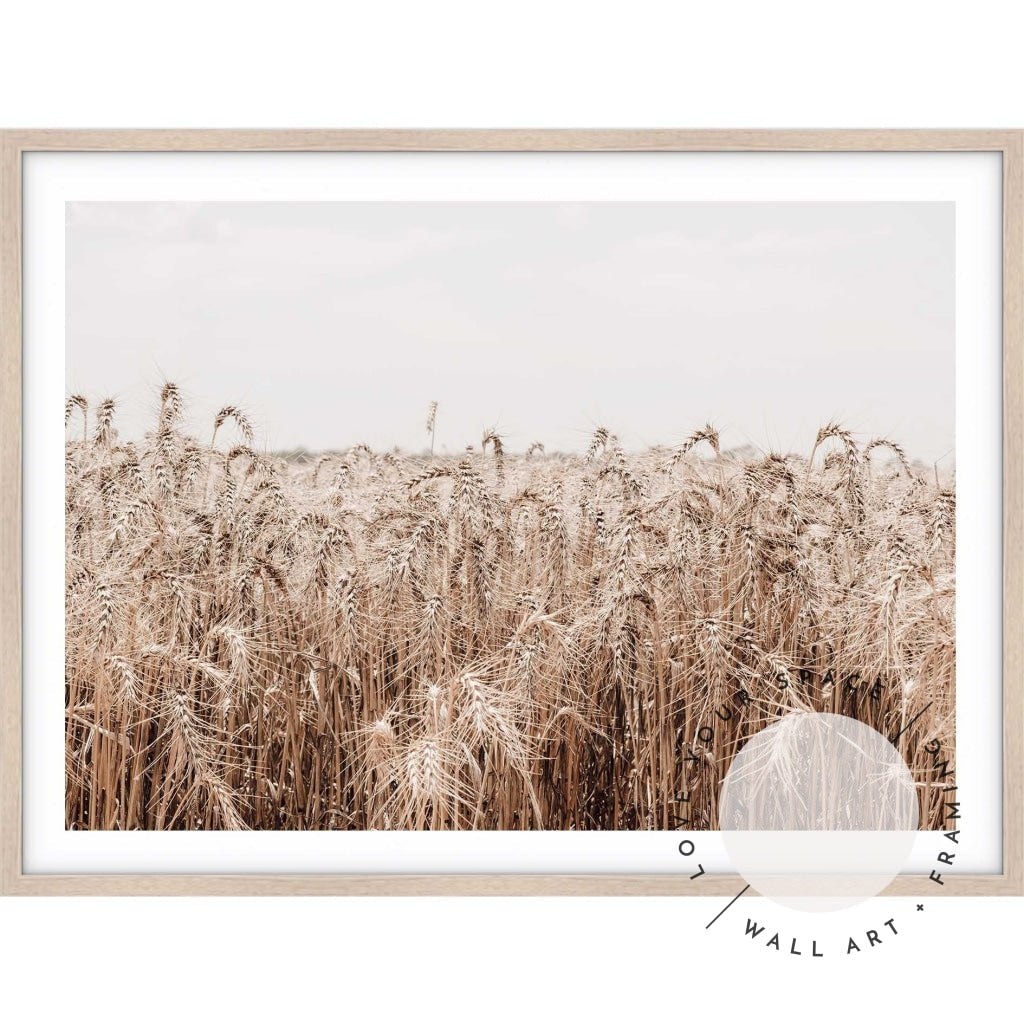 Wheat Farm III - Love Your Space