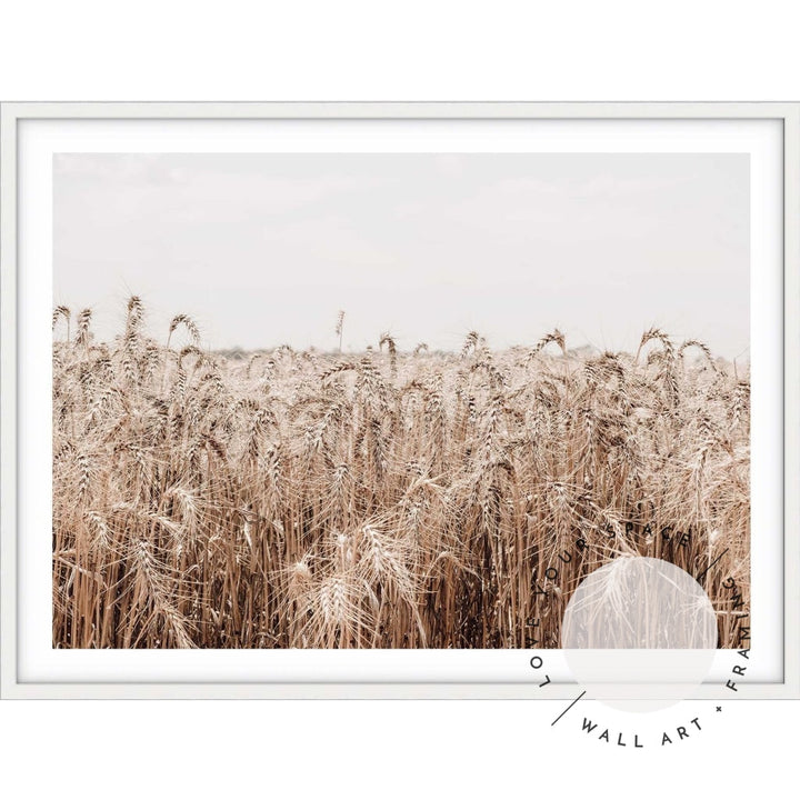 Wheat Farm III - Love Your Space