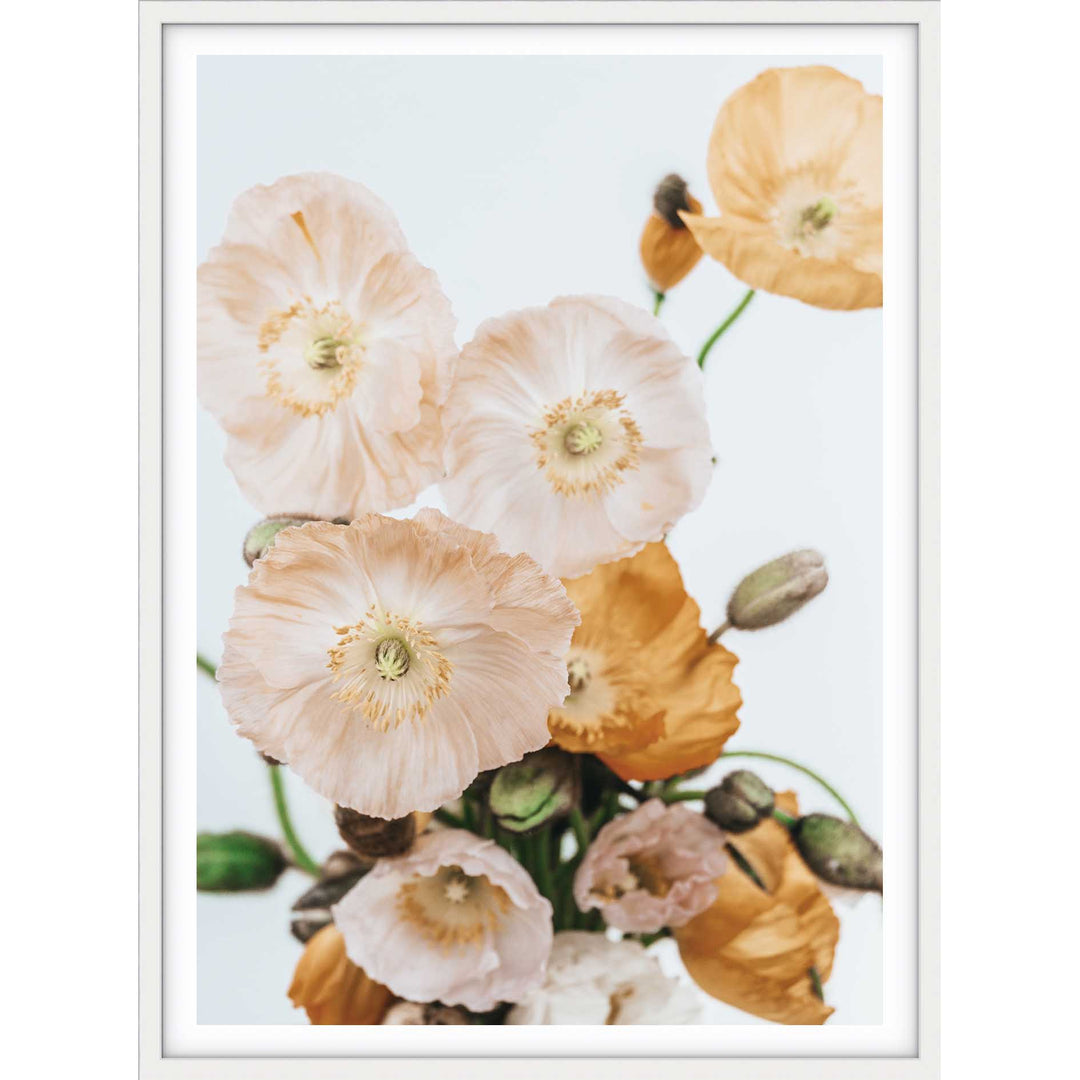 Pretty Poppies no.1