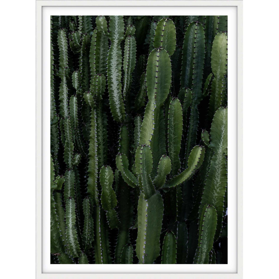 Crowded Cactus