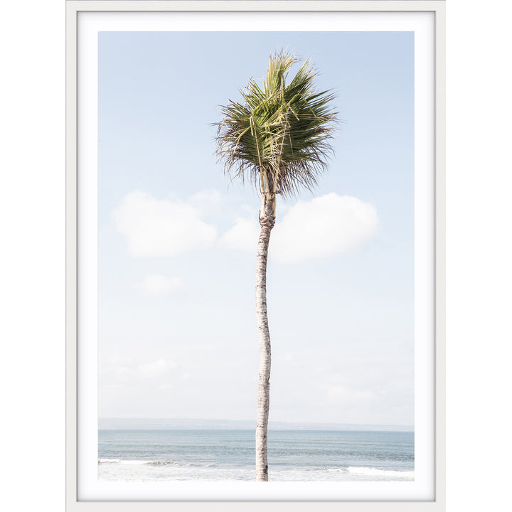 Bali Palm