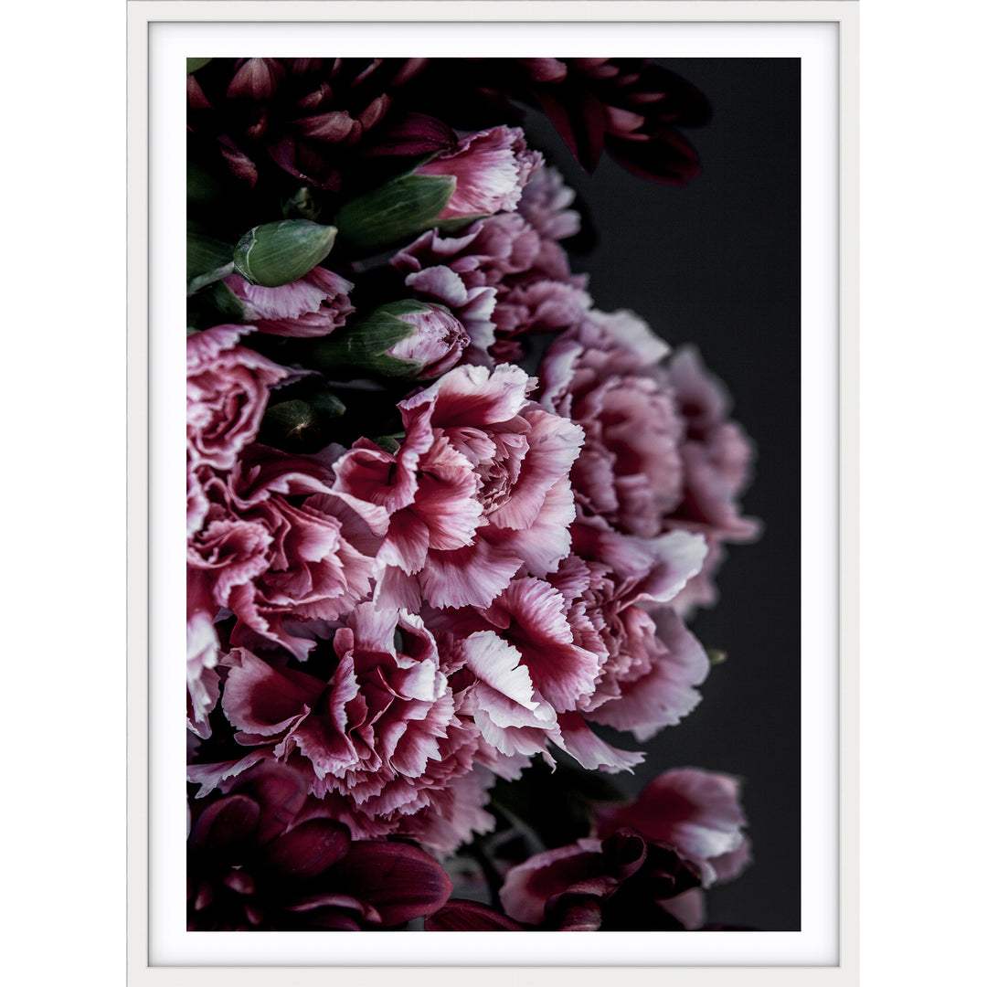 Carnations I