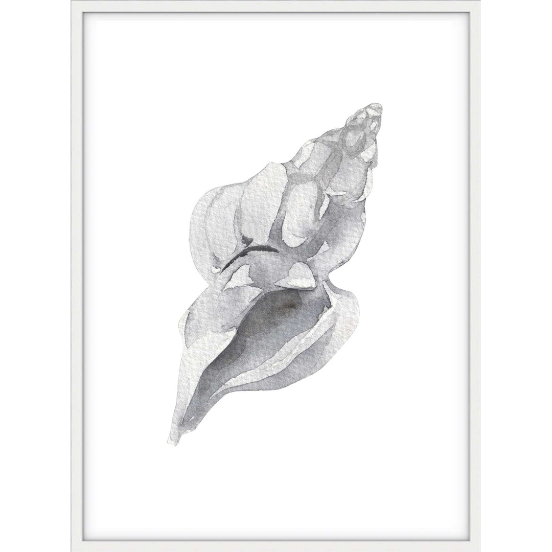 Shell no.1