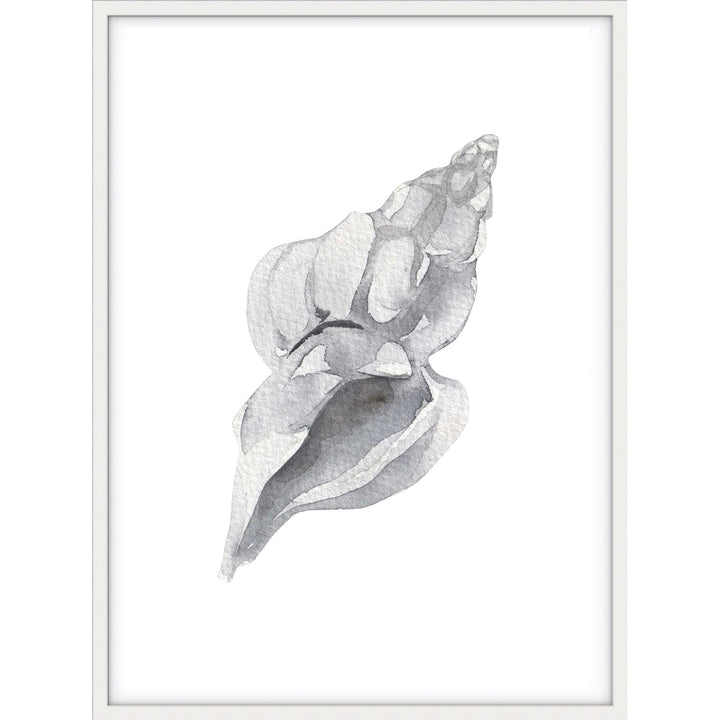 Shell no.1