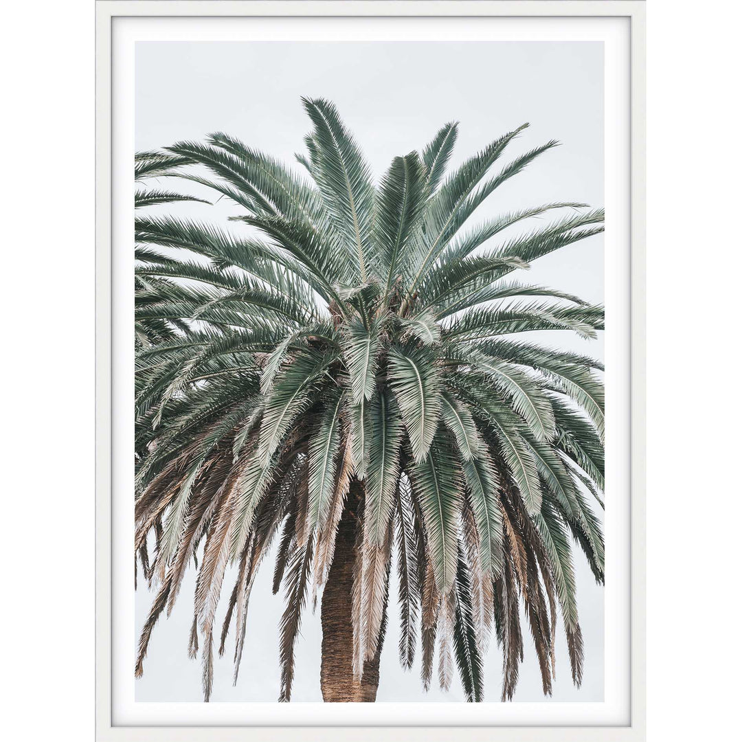 Jungle Palms no.2