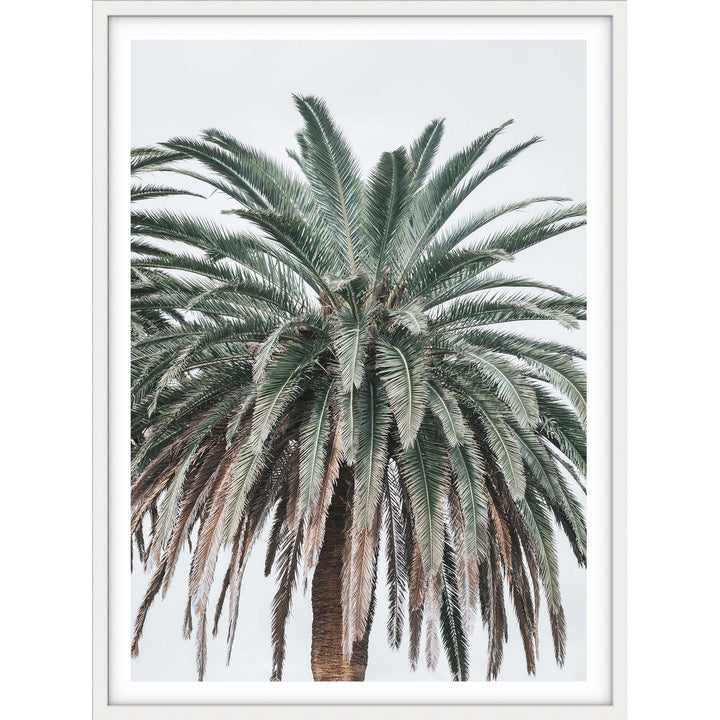 Jungle Palms no.2