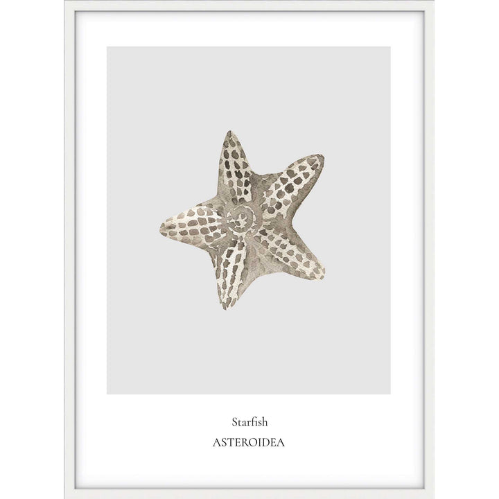 Starfish