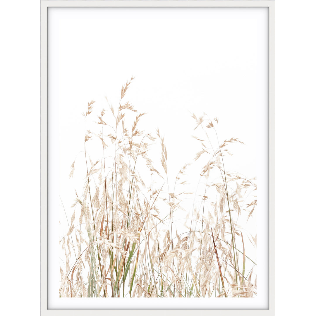 Country Grass no.1