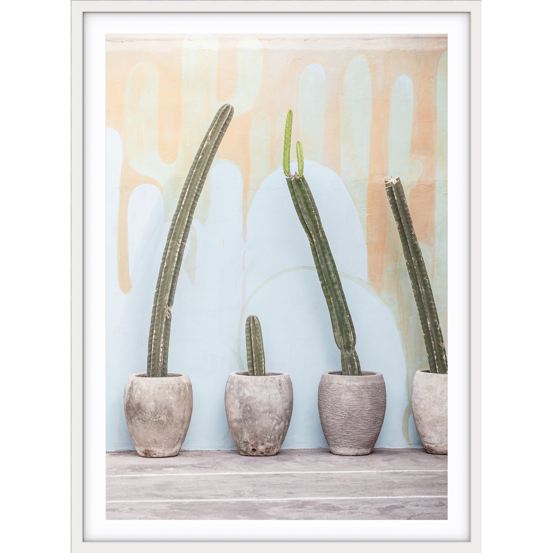 Bali Cactus no.2