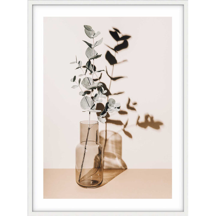 Antique Eucalyptus