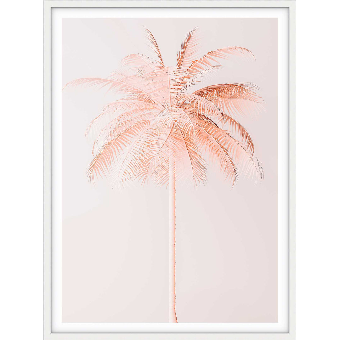 Peachy Palm