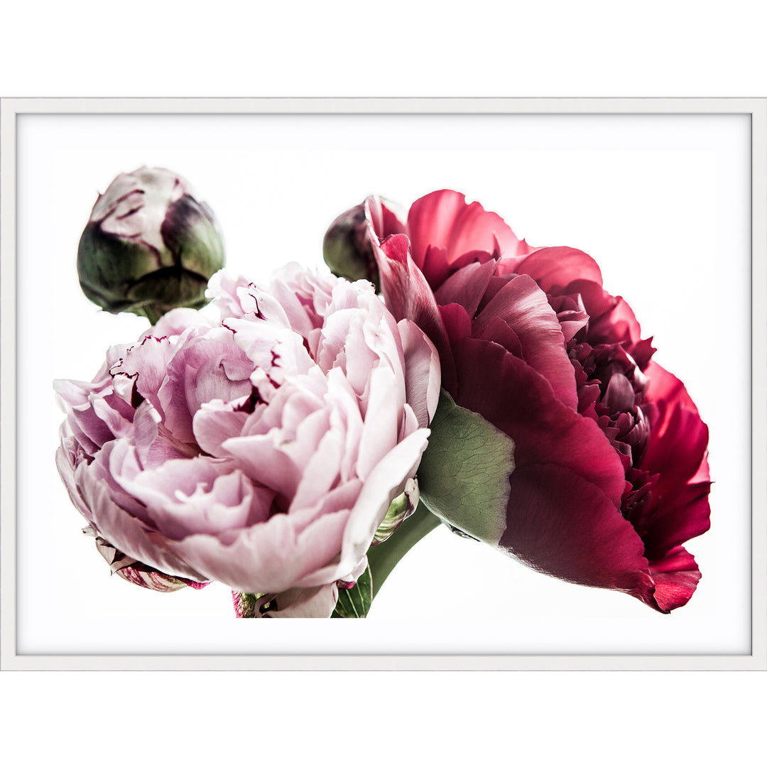Peony Trio