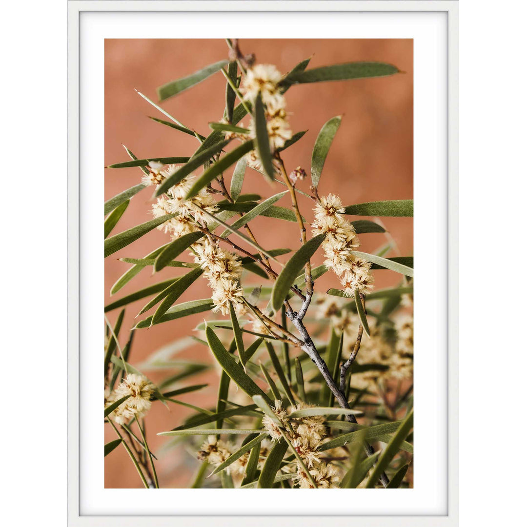 Outback Floral