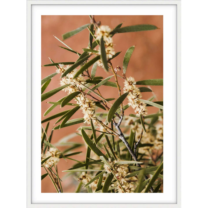 Outback Floral