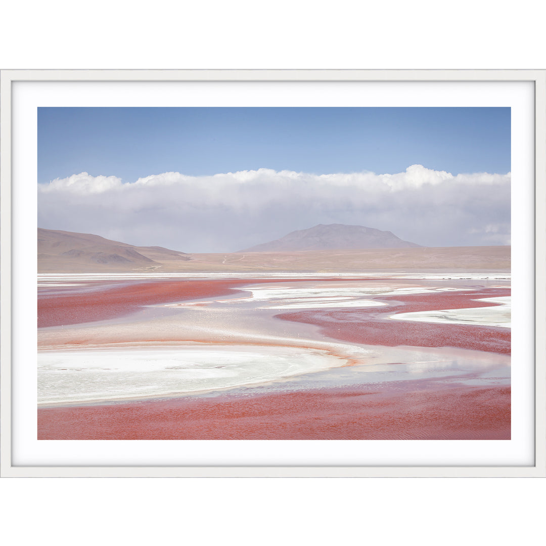 Pink Salt - Bolivia