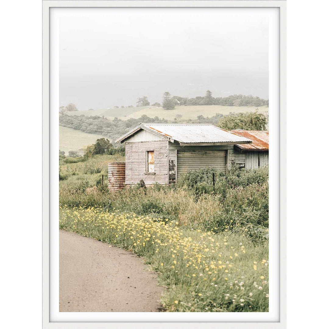 Country Side - Jamberoo