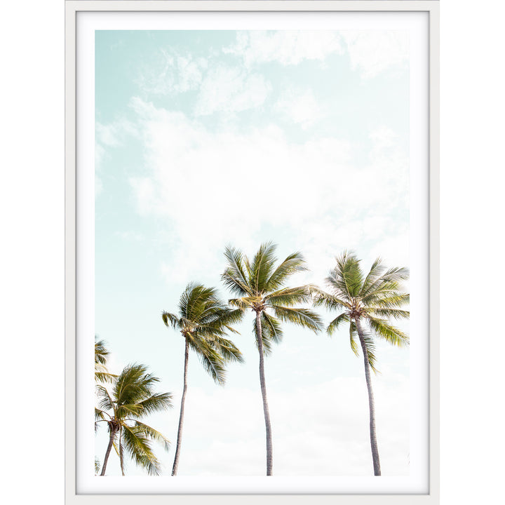 Tropical Palms I