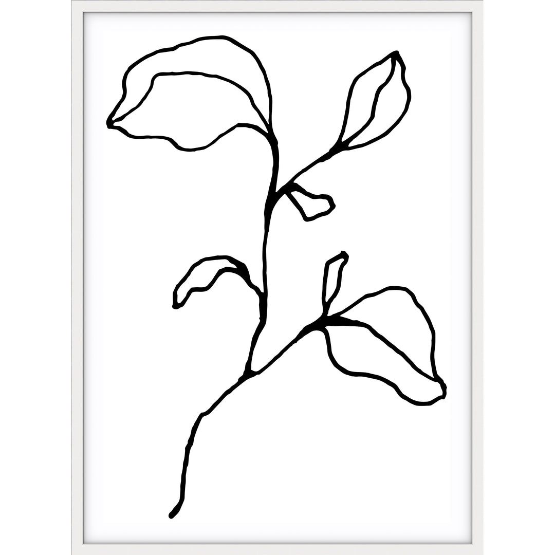 Floral Lines no.2