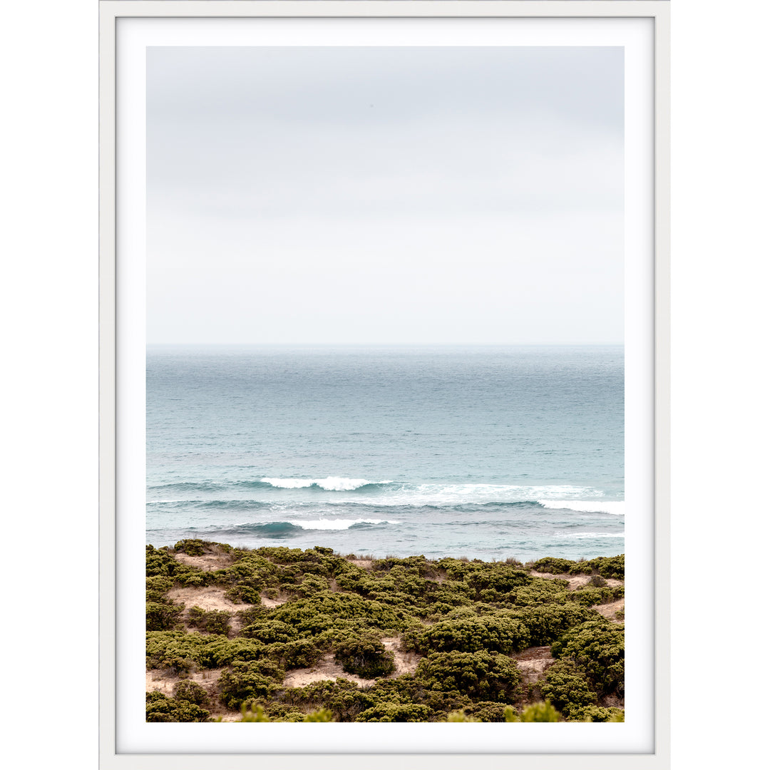 The Cove - Victoria