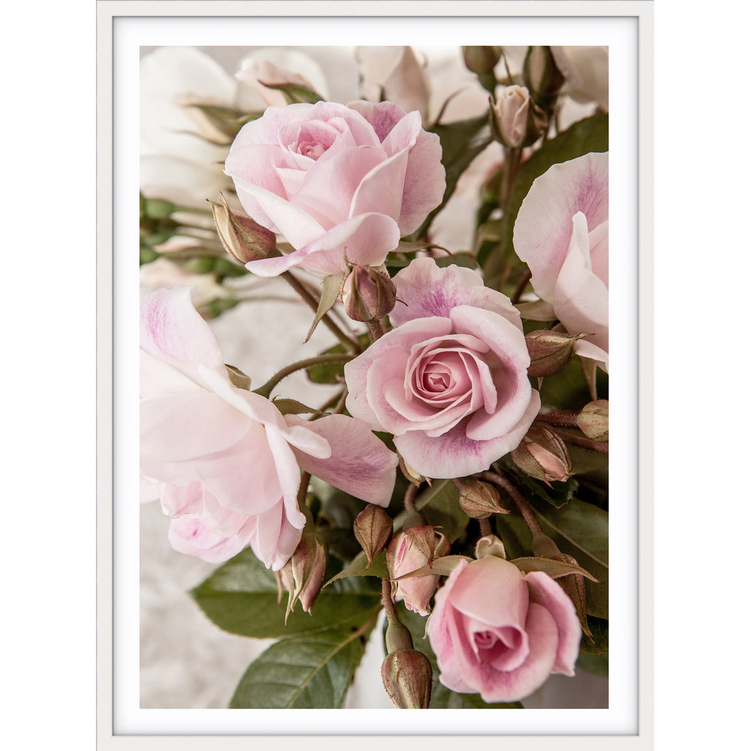 Rose Garden I