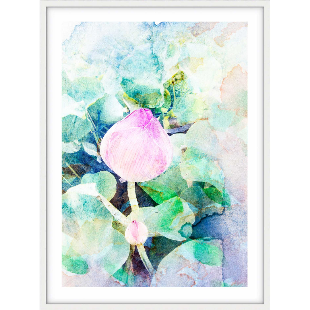 Watercoloured Rose