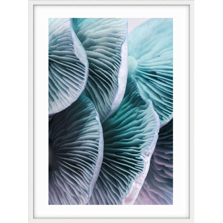 Blue Mushrooms