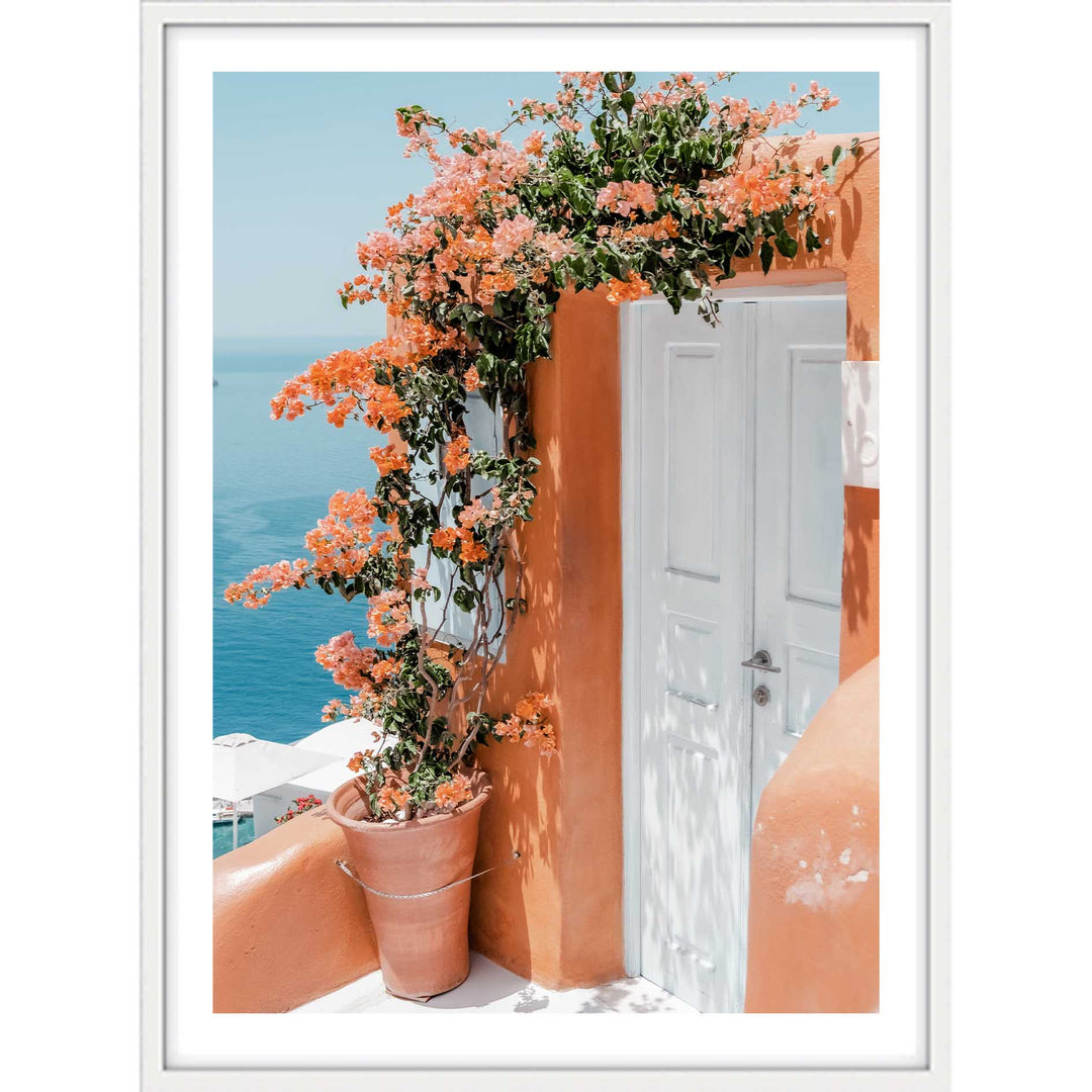Cliffside Peach
